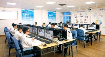 信息技術咨詢服務助力青島外理科技創新，理貨服務再升級